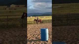 SPORTINGAGNSTERCHIC 1