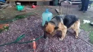 Июль Август 2