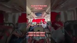 Узбекистан Москва Автобус #такси #узбекистан #автобус #2023 #тошкент #хабар24 #bgm #love #россия
