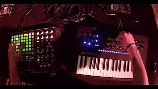 Live Acid APC 40 + Minilogue  - BLAK NOIZE