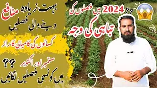 What to grow in September and October 2024 |ستمبر اور اکتوبر 2024 میں کیا اگایا جائے |IR FARM