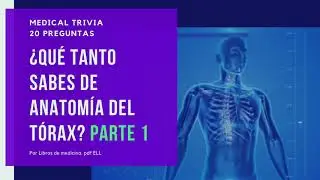 MEDICAL TRIVIA ANATOMIA DEL TORAX👩‍⚕️👨‍⚕️📕🧠✅
