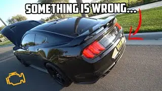 My supercharged Mustang is misfiring, I think my catalytic converter is out...