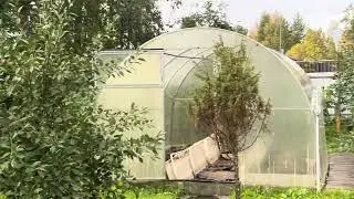 Дачный архив. 20 сентября 2024