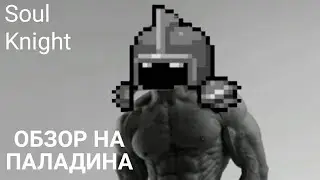 ОБЗОР НА ПАЛАДИНА соул кнайт soul knight