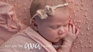 Pink Owl Studios | Ava | Newborn Film