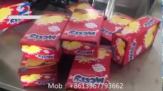 Food Cookies biscuit cartoner carton box packing machine