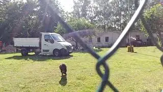 Барашки VID 20240714 162451