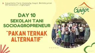 DAY10- 