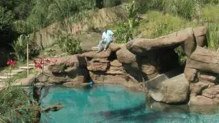 Tropical Backyard Pool & Spa Ideas