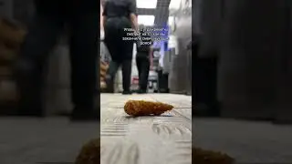 Упавшая креветка смотрит, как все уходят домой