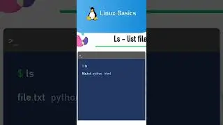 Linux Basics - list the content of a directory 