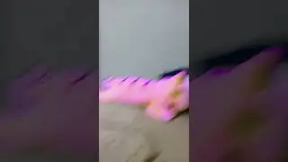 почему всё фиолетовое