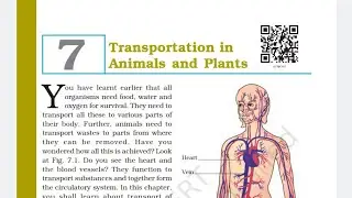 Class 7th l Chapter 7 l Transportation in animals and plants Question and Answers one shot