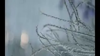 Frosty Air