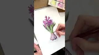 Гиацинт для выставки 