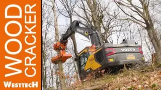 Let's cut new Dimensions: the new Woodcracker® C650