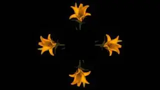 Видео для 3D-пирамиды, голограмма 