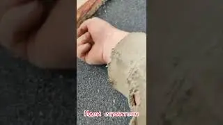 когда идёт дождь временная кровля протекает