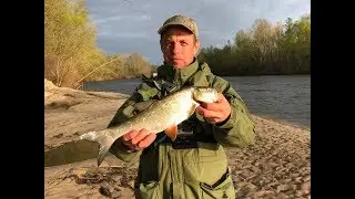 За жерехом.