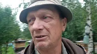 Дожди и ненастье , а работа на пасеке всегда найдётся .