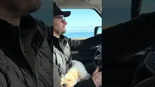Greetings from Georg and his pooch, Max 👋