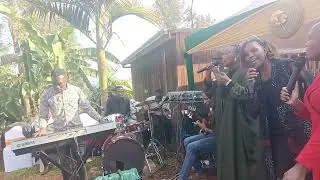 Congolese seben 