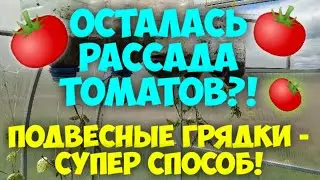Осталась рассада!? Подвесная грядка томатов!