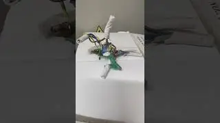 20 июня 2024 г.