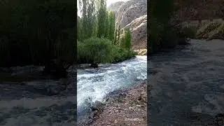 #gelon #shahrisabz #nature #janona#uzbekistan