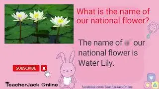 Nursery General Knowledge: The name of our national flower is...