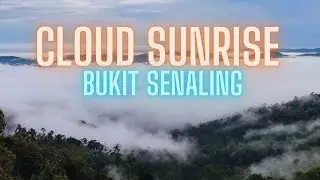 Cloud Sunrise at Bukit Senaling (394m) 2023