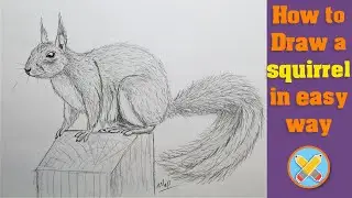 how to draw a squirrel