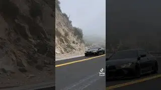 BMW M4 Drive by. #viral #youtube #youtubeshorts