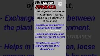 STOMATA NOTES
