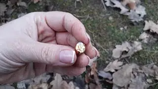 Странная находка в лесу,Я В ШОКЕ