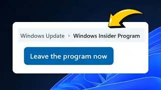How to Leave WINDOWS 11 INSIDER PROGRAM (Without Losing Data) 2024
