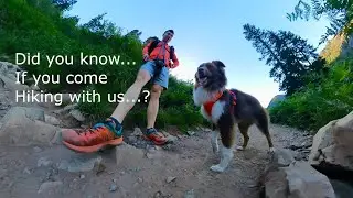 Did you know…? If you come hike with us…