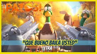 ¡PATOS! Que bueno baila usted CANCION FINAL/ Subtitulada al Español