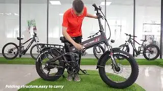 DAYLYRIDE Lion