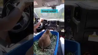 Вместе по жизни ❤️