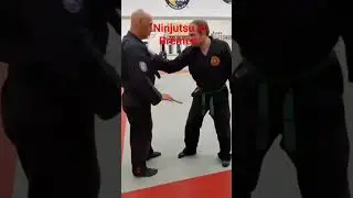 Ninjutsu in Bremen #shorts #budo #Martialarts #fight #Japan #Bremen