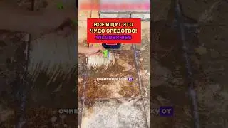 Это средство очистит любую плитку. Сохрани и подпишись! 