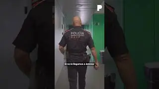 "Si no le llegamos a detener, hubiera muerto muchísima más gente"
