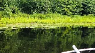 рыбалка на озере