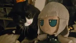 youmu gets rekt