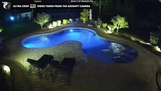 Dog Pool Party - GoSwift Ultra HD 4K Weatherproof Bullet Camera Video Sample