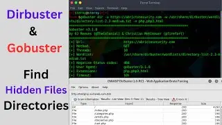 How to use Go-buster or Dirbuster to Find Hidden Files/Directories | Find Directories & Subdomains