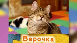 Верунчик