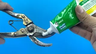 3 Minutes of Innovation: Branch Cutting Scissors Made Sharper Than Before ✨